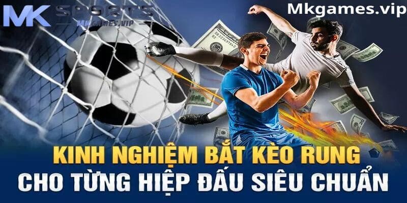 Kinh nghiệm bắt kèo rung hiệu quả